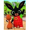 Minipuzzle mini - Maxi 20 dílků Bingovi přátelé/Králíček Bing - mix 4 druhy