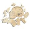 Hlava anatómie - edukatívne drevené puzzle - ČESKÁ VERZIA