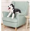 Plyšový pejsek Husky 70 cm