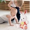 Interaktivní plyšový králíček na baterie Little Animal