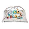 Ecotoys vzdělávací hrací deka se zvířátky Deluxe Gym