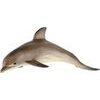 Delfín skákavý zooted