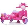 Dětská tříkolka zmrzlinářství JT5258 růžová