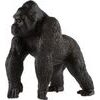 Gorila horská zooted