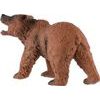 Medvěd hnědý zooted