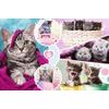 Puzzle Koťata 160 dílků