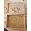 Dinosaury - drevené puzzle - SLOVENSKÉ VERZIE