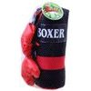 Dětské boxovací rukavice s pytlem Box Champion