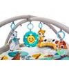 Ecotoys vzdělávací hrací deka se zvířátky Deluxe Gym