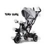 Dětská tříkolka Tiny Bike s otočným sedadlem 3v1 šedá