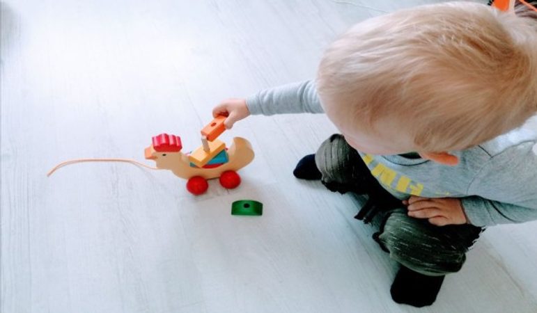 Dřevěné hračky pro děti - proč jsou čím dál více oblíbené?