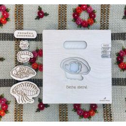 Lidská blecha - životní cyklus