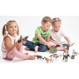 Antilopa pouštní zooted