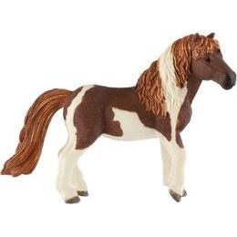 Kůň domácí Shetlandský pony zooted