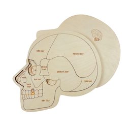 Hlava anatómie - edukatívne drevené puzzle - SLOVENSKÁ VERZIA