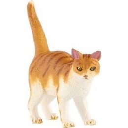 Antilopa pouštní zooted