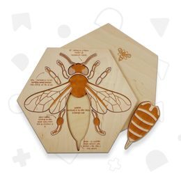 Včela edukativní puzzle - ČESKÁ VERZE