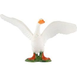 Antilopa pouštní zooted