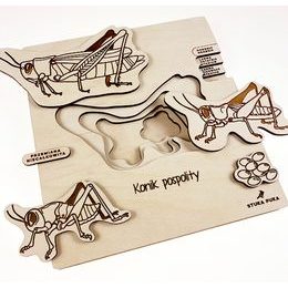 Kobylka - životný cyklus