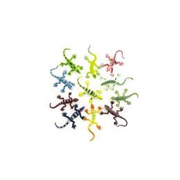 Ještěrky/hmyz mix barev