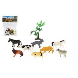 Kůň domácí Shetlandský pony zooted