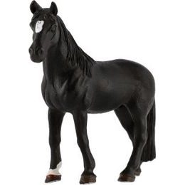 Kůň domácí Shetlandský pony zooted