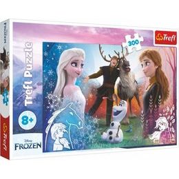 Puzzle Ledové království/Frozen 300dílků