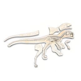Dinosaurus - anatómia tela - edukatívne puzzle - ČESKÁ VERZIA