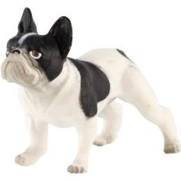 Kůň domácí Shetlandský pony zooted