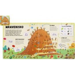 Kniha Čo sa deje v mravenisku - SK verzia