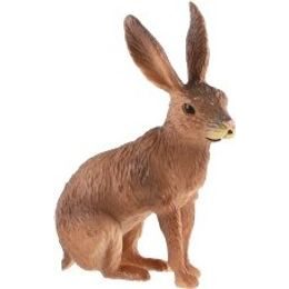 Kůň domácí Shetlandský pony zooted