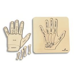 Ruka - anatomie - edukativní dřevěné puzzle - SLOVENSKÁ VERZE
