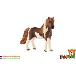 Kůň domácí Shetlandský pony zooted