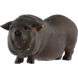 Kůň domácí Shetlandský pony zooted