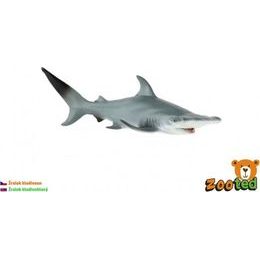 Žralok kladivoun velký zooted