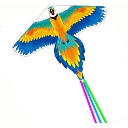 Mega velký drak - barevný pták s dlouhým ocasem