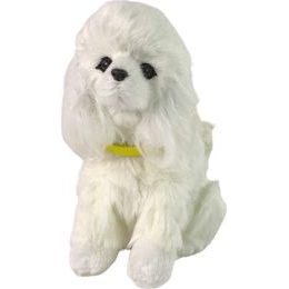 Zpívající pohybující se papoušci na stromě