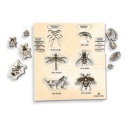 Proměna dokonalá, nedokonalá - životní cykly - set - SLOVENSKÁ VERZE