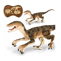 Dinosaurus Velociraptor