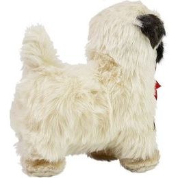 Zpívající pohybující se papoušci na stromě