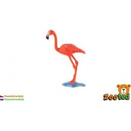 Plameňák karibský zooted