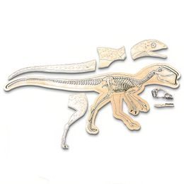 Dinosaurus - anatómia tela - edukatívne puzzle - SLOVENSKÁ VERZIA