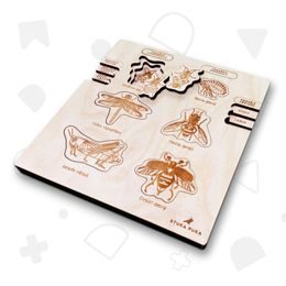 Premena dokonalá, nedokonalá - životné cykly- set - ČESKÁ VERZIA