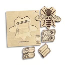 Včela - životní cyklus - SLOVENSKÁ VERZE