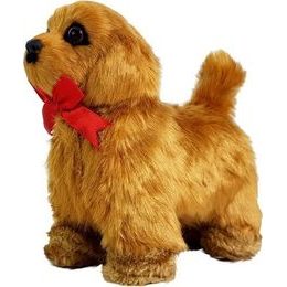 Zpívající pohybující se papoušci na stromě