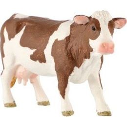 Antilopa pouštní zooted