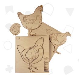 Kuře - životní cyklus - ČESKÁ VERZE