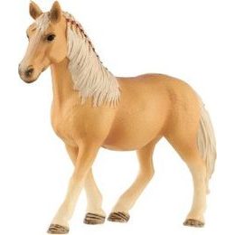 Kůň domácí Shetlandský pony zooted