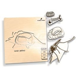 Komár - životní cyklus - SLOVENSKÁ VERZE