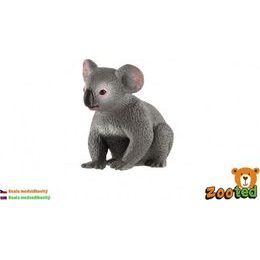 Koala medvídkovitý zooted